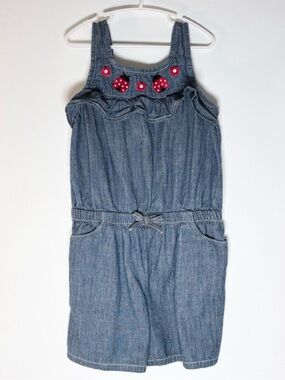 Cottagecore Gymboree Girls Chambray Ladybug Embroidered Ruffle Romper Size 10